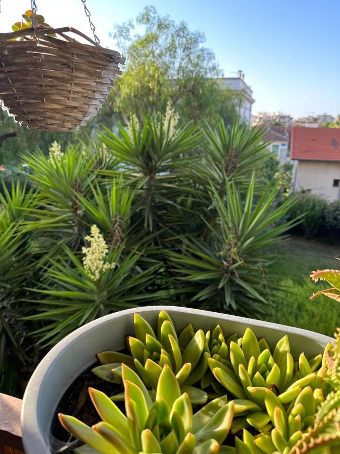 Location De Chambre Privee Dans Residence Prive, Jardins Et Parking Gratuit 1 Min To Tramway Et 9 Min De Centre-Ville, Accessibilite A Plusieurs Transports Νίκαια Εξωτερικό φωτογραφία